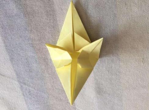ֽ̳͢
