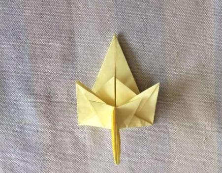 ֽ̳͢