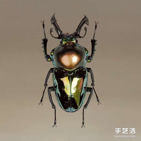 ԽӰĳʵﻭ ʶ滭 -  www.youjiao5.com
