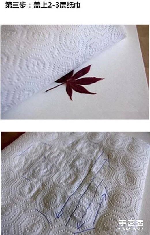 Ҷӡô ҶӡͼƬ -  www.youjiao5.com