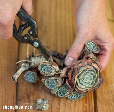 ԶֲװλDIYֹͼ̳ -  www.youjiao5.com