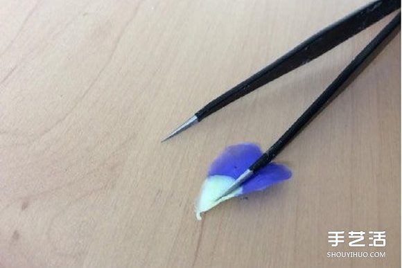 ճ̳ ֹճ̳ͼƬ -  www.youjiao5.com