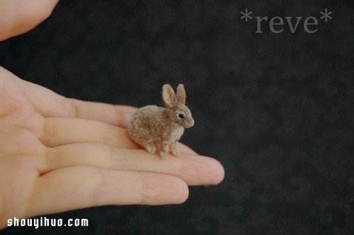 պɴֹ㶯ģ -  www.youjiao5.com
