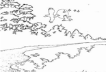 ʻ- 羰ʻͼƬ-ɽˮݺύ