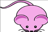 ʻ-