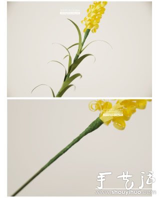 ɫֽƯֽս̳ -  www.youjiao5.com