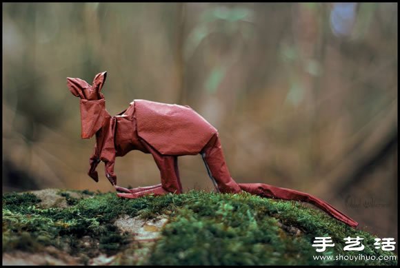 ĴֽС -  www.youjiao5.com