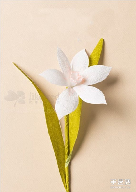 ˮɻ۷ͼ ֽˮɻ̳ -  www.youjiao5.com