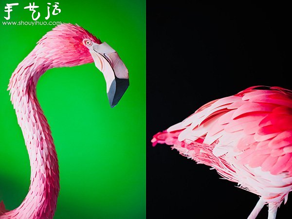 ֽƷ -  www.youjiao5.com