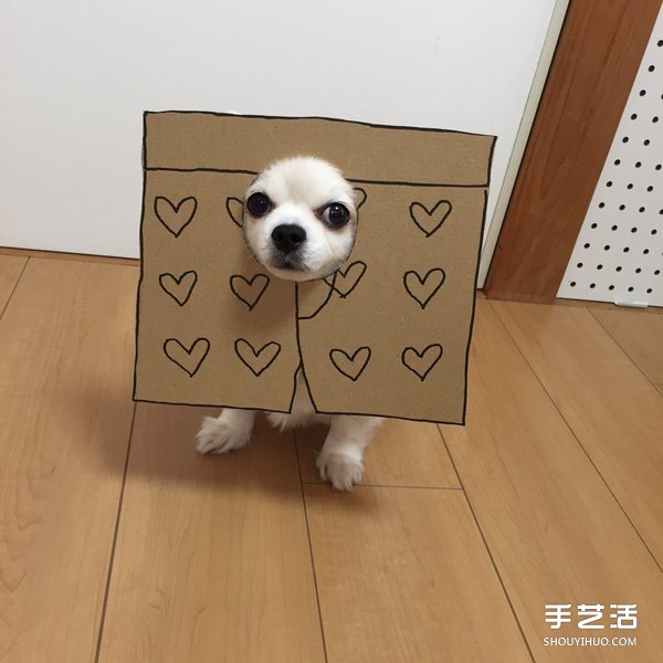ֽ+= ôСɰ -  www.youjiao5.com