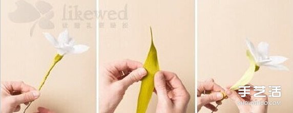 ˮɻ۷ͼ ֽˮɻ̳ -  www.youjiao5.com