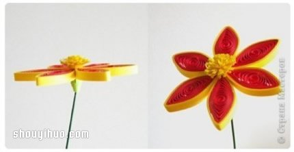 ֽ̳ ֹֽķͼ -  www.youjiao5.com