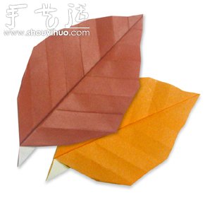 Ҷֽ -  www.youjiao5.com