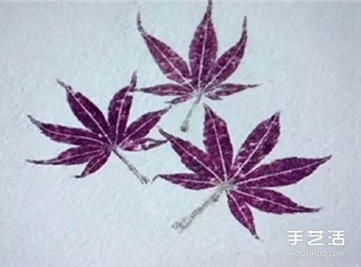 Ҷӡô ҶӡͼƬ -  www.youjiao5.com
