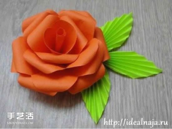 ֽõļ۷ͼ ֽõ廨ҶӲ -  www.youjiao5.com