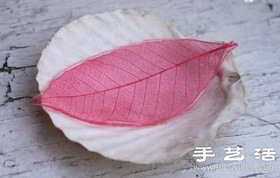 Ҷ걾ô Ҷ걾 -  www.youjiao5.com