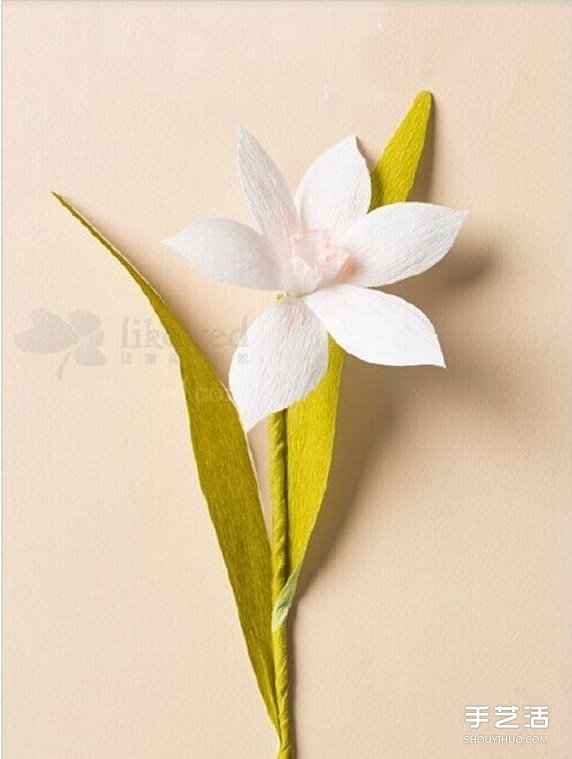 ˮɻ۷ͼ ֽˮɻ̳ -  www.youjiao5.com