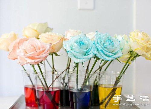 ɫõȾɫ DIY߲õ廨 -  www.youjiao5.com
