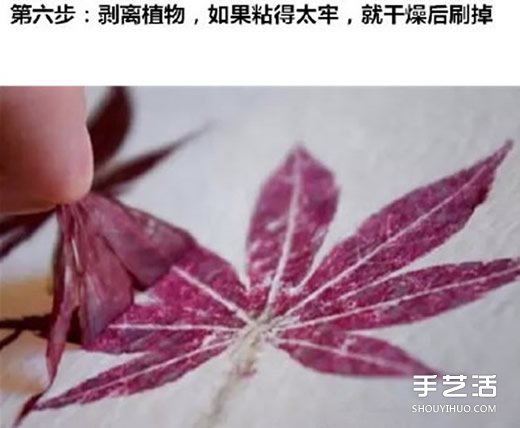 Ҷӡô ҶӡͼƬ -  www.youjiao5.com