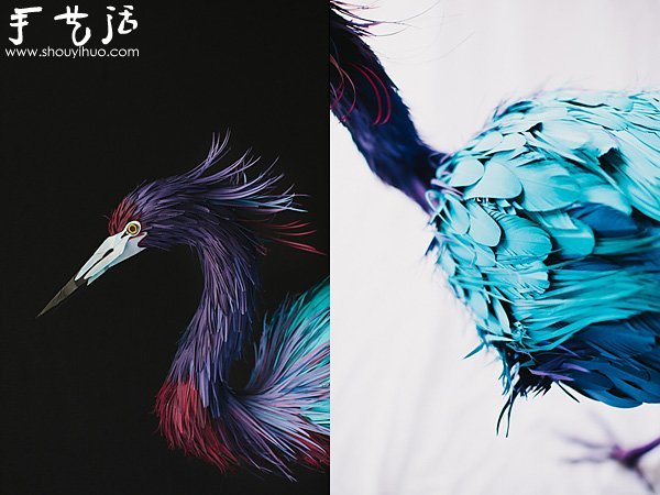 ֽƷ -  www.youjiao5.com