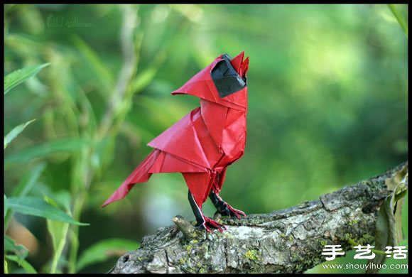 ĴֽС -  www.youjiao5.com