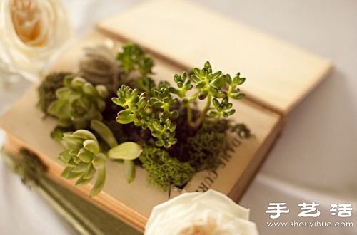 Ʒ:12СDIY -  www.youjiao5.com