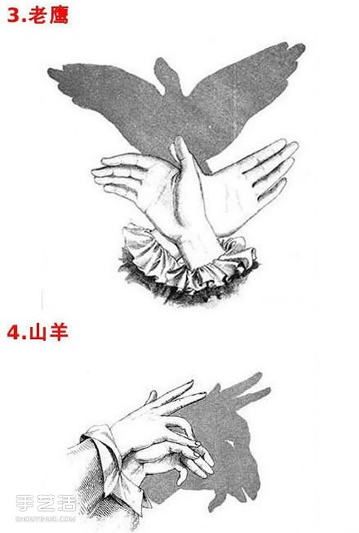 ӰͼƬȫ ׶ӰϷͼƬѧ -  www.youjiao5.com