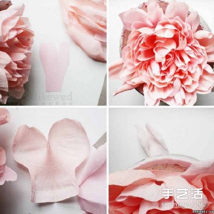 ֽ ֹֽ۷ͼ -  www.youjiao5.com