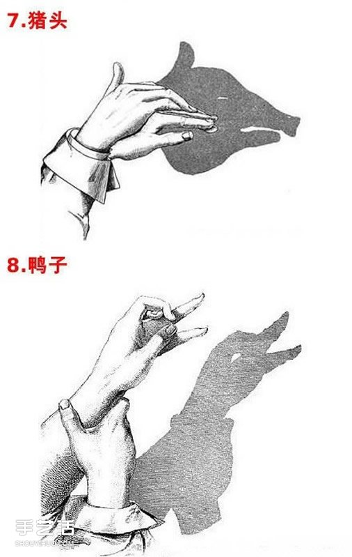 ӰͼƬȫ ׶ӰϷͼƬѧ -  www.youjiao5.com