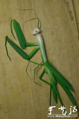 СDIY -  www.youjiao5.com