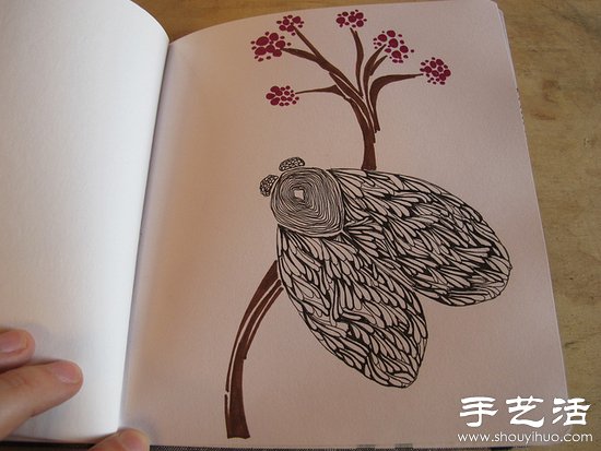 ŵֹ -  www.youjiao5.com