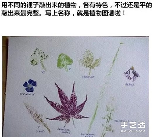 Ҷӡô ҶӡͼƬ -  www.youjiao5.com