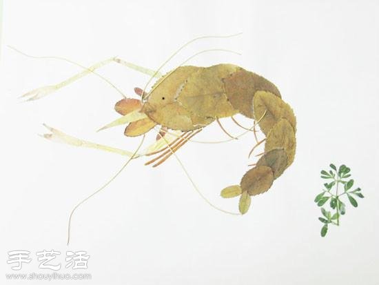 Ҷ+ ֹȤƴ -  www.youjiao5.com