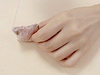 Сɳ Сɳ淨 -  www.youjiao5.com