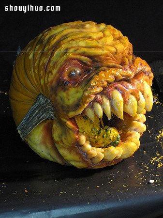 ʥڲСƨݵĿֲϹϵ -  www.youjiao5.com