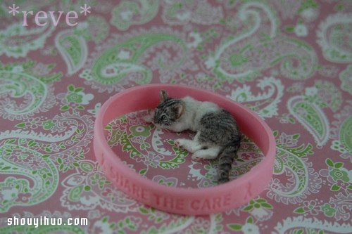 պɴֹ㶯ģ -  www.youjiao5.com