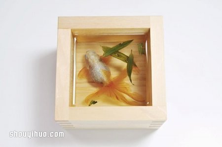 ܥ¡֬3D -  www.youjiao5.com