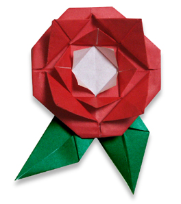 õֽ -  www.youjiao5.com