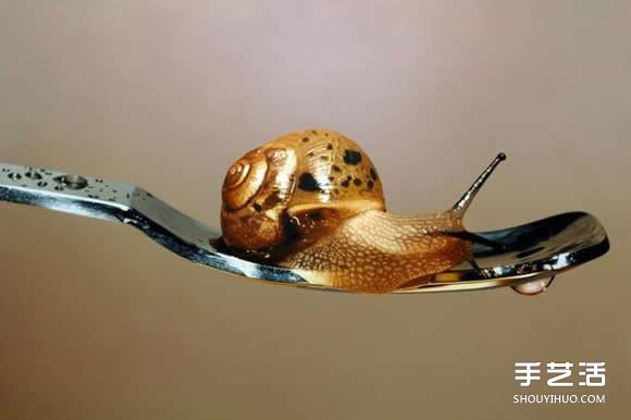 ԽӰĳʵﻭ ʶ滭 -  www.youjiao5.com