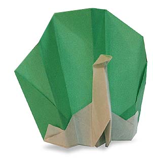 ȸֹֽ̳ -  www.youjiao5.com