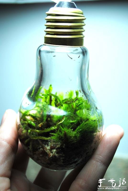 ֹDIYʽ̬ƿ -  www.youjiao5.com