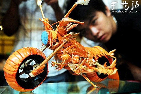 ϺǱΪ ֹDIYĦгģ -  www.youjiao5.com
