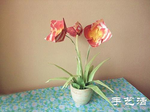 ֹƯֽ -  www.youjiao5.com