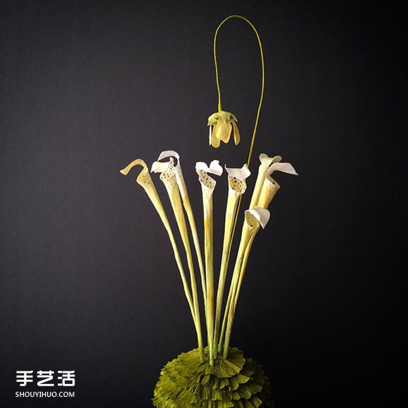 ֽg̺ ֽռٻͼƬ -  www.youjiao5.com