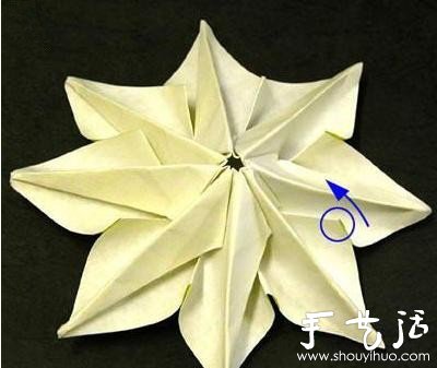 ֽ̫ ֽ̫̳ -  www.youjiao5.com