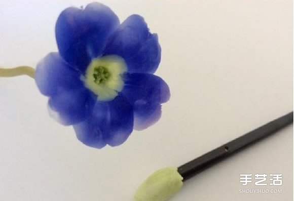 ճ̳ ֹճ̳ͼƬ -  www.youjiao5.com