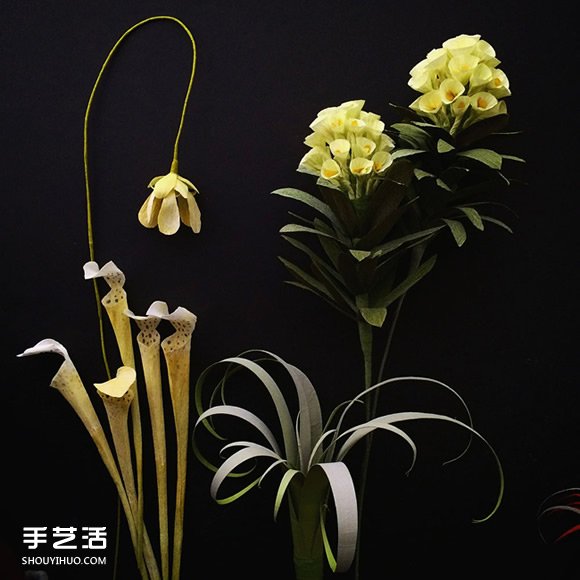 ֽg̺ ֽռٻͼƬ -  www.youjiao5.com