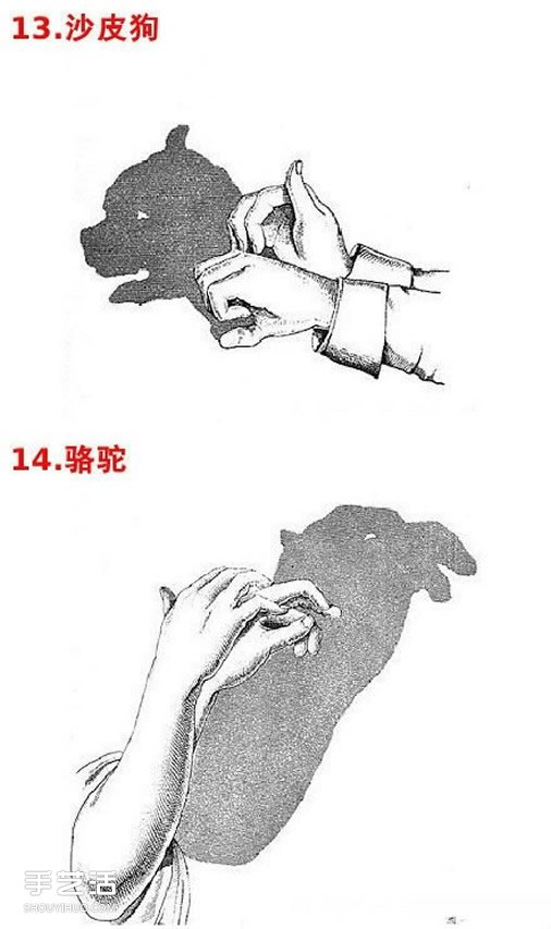 ӰͼƬȫ ׶ӰϷͼƬѧ -  www.youjiao5.com