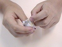 Сɳ Сɳ淨 -  www.youjiao5.com
