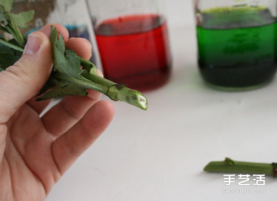 ʳɫȾʻļ򵥿ѧС -  www.youjiao5.com
